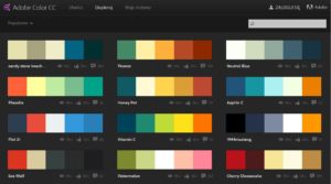 color 300x167 - color