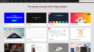 onepage 300x168 - onepage