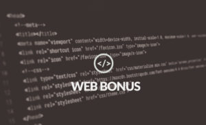 webbonus 300x182 - webbonus