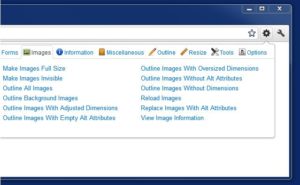 webdeveloper 300x185 - webdeveloper